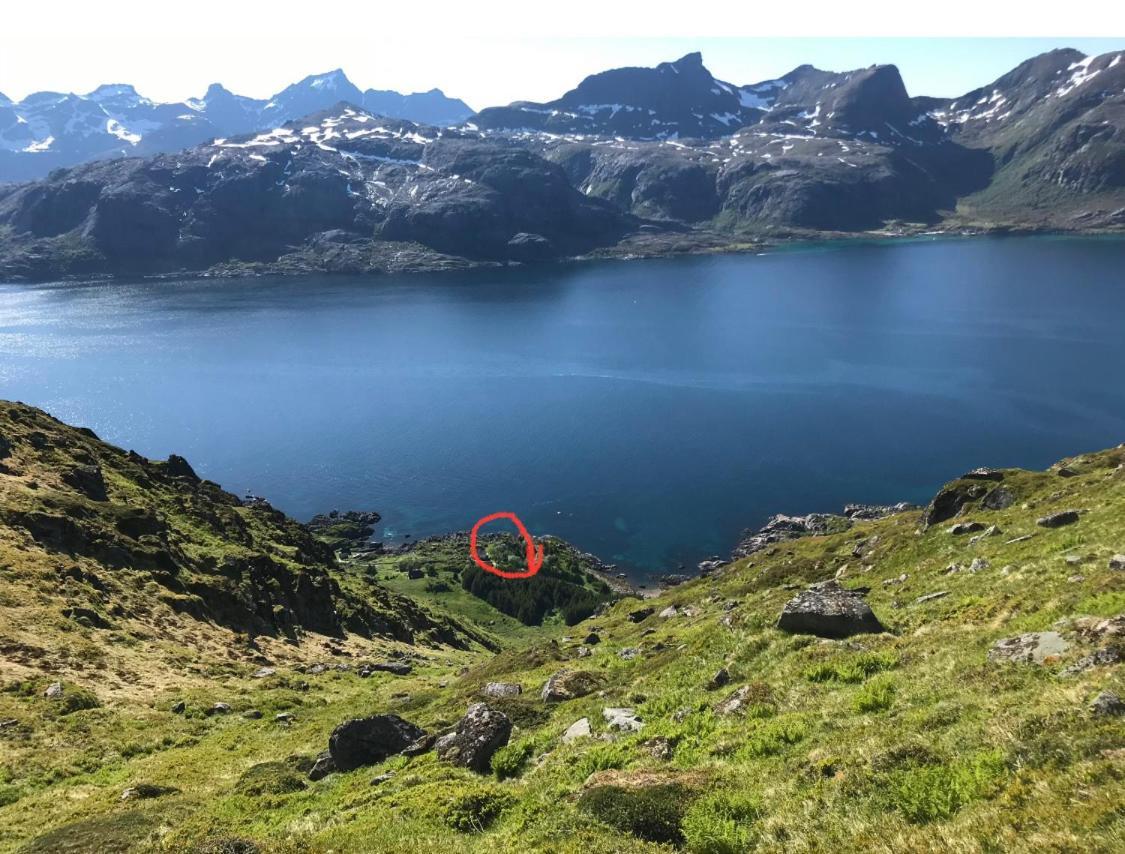 Vettinghytta, Close To The Sea With Amazing View. Gravdal  Екстер'єр фото