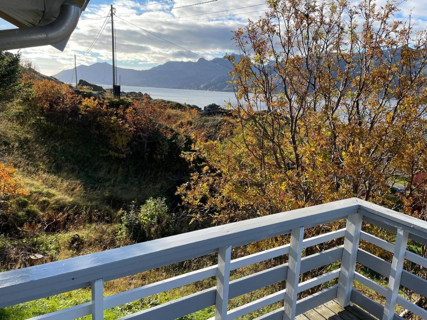 Vettinghytta, Close To The Sea With Amazing View. Gravdal  Екстер'єр фото