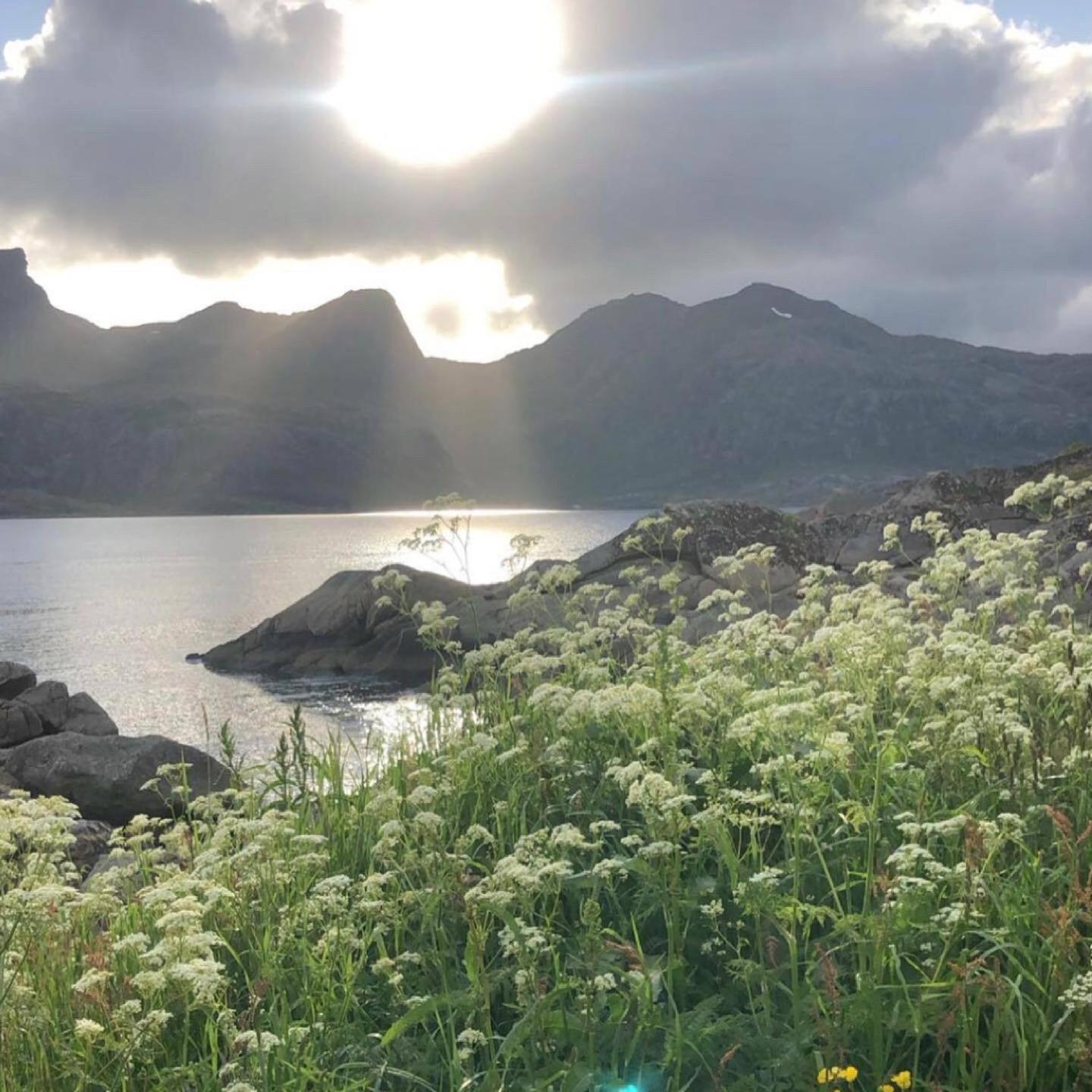 Vettinghytta, Close To The Sea With Amazing View. Gravdal  Екстер'єр фото